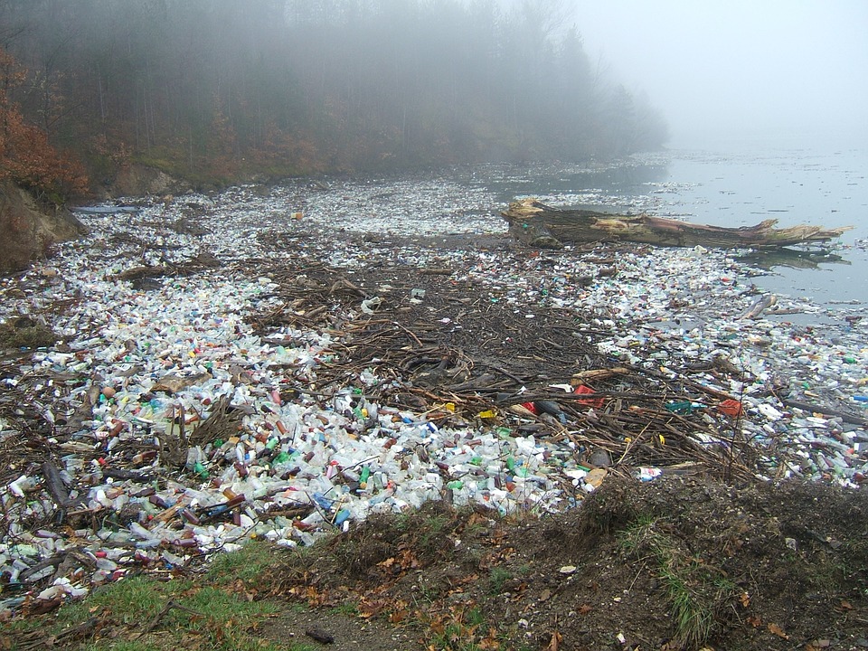 plastic waste on beach