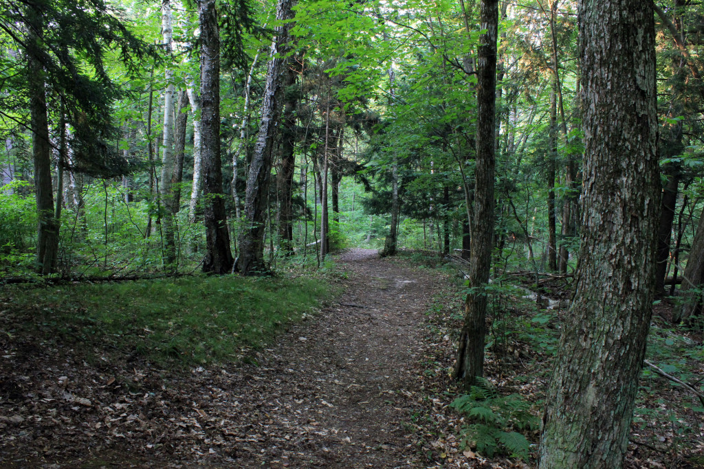 Point Beach Nature Hiking Trail