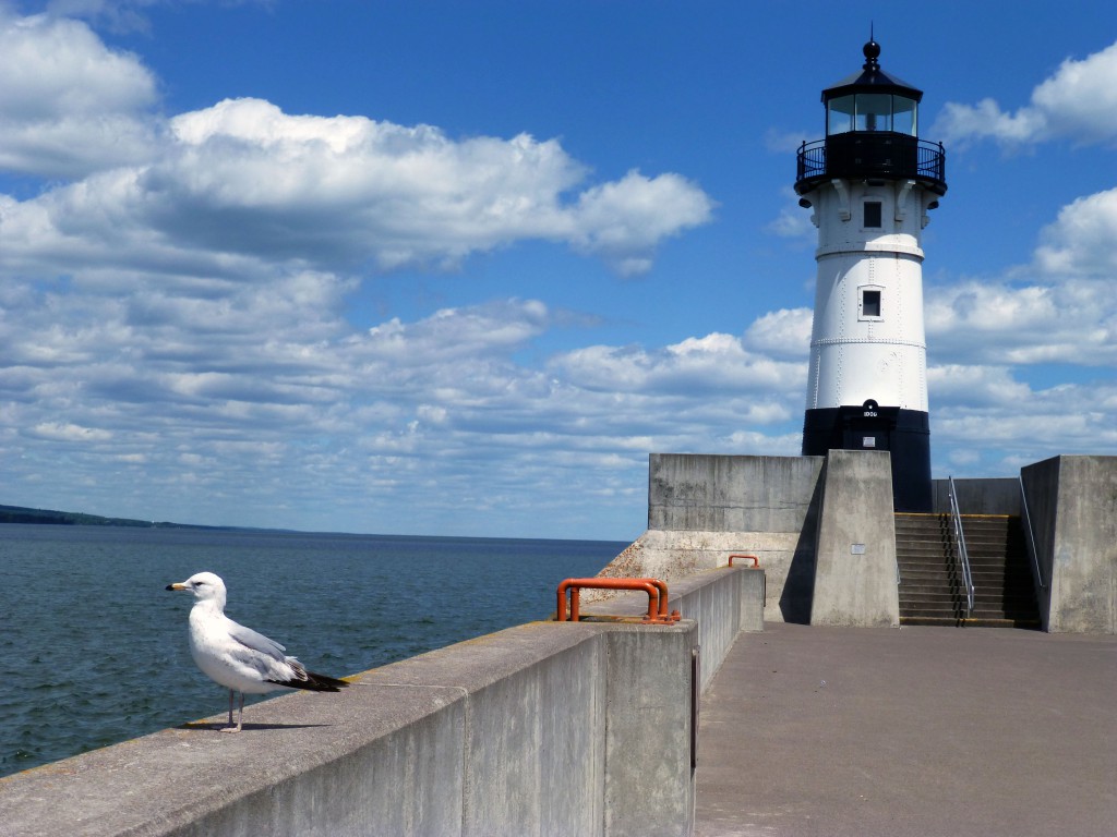 Canal Park, Duluth MN lighthouse pier and seagull