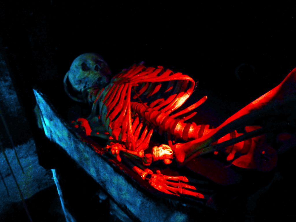 skeleton in a grave on the Haunted Ship