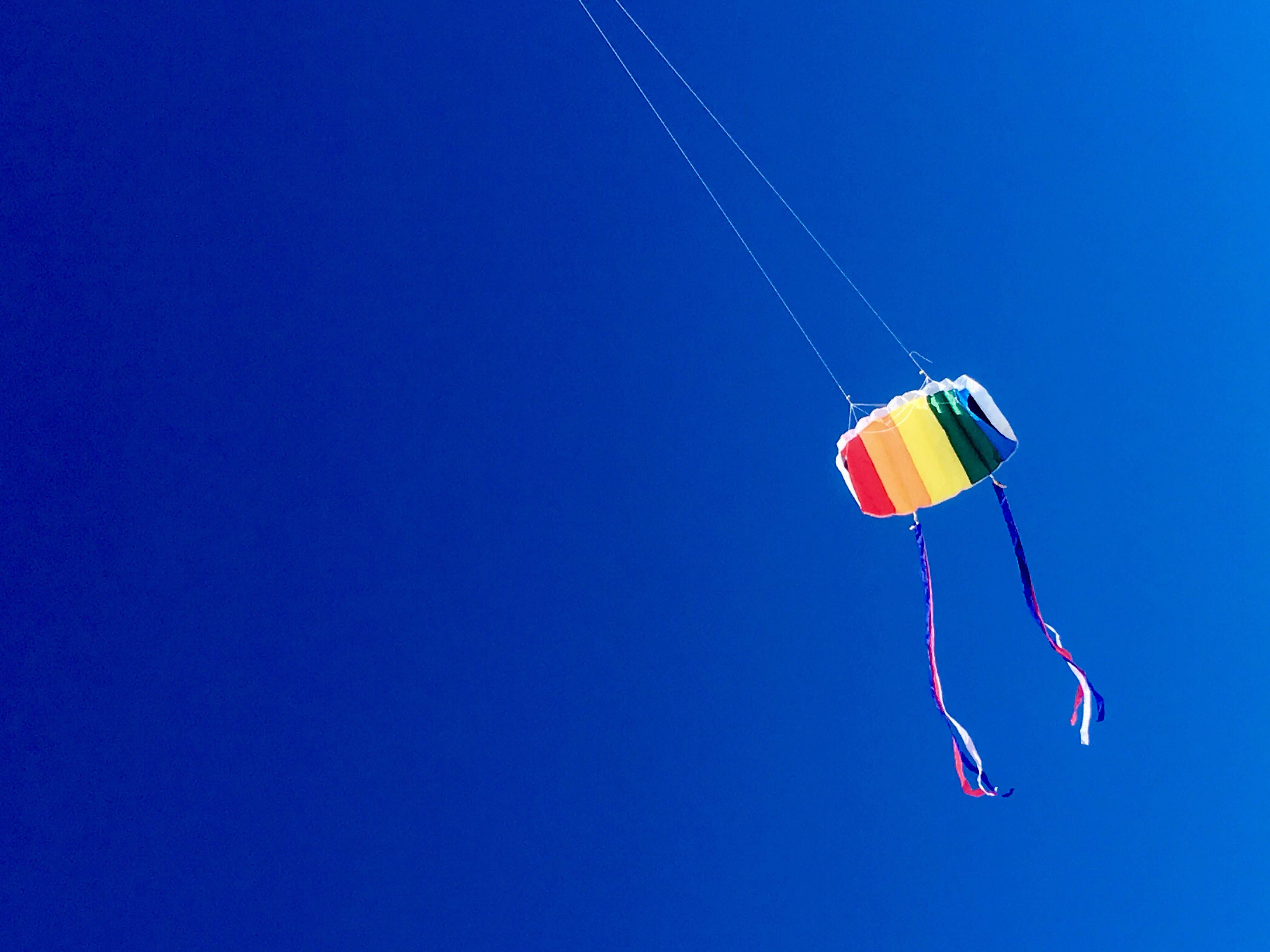 kite in the sky