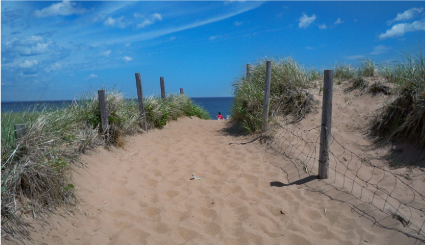 Park Point beach sand dunes