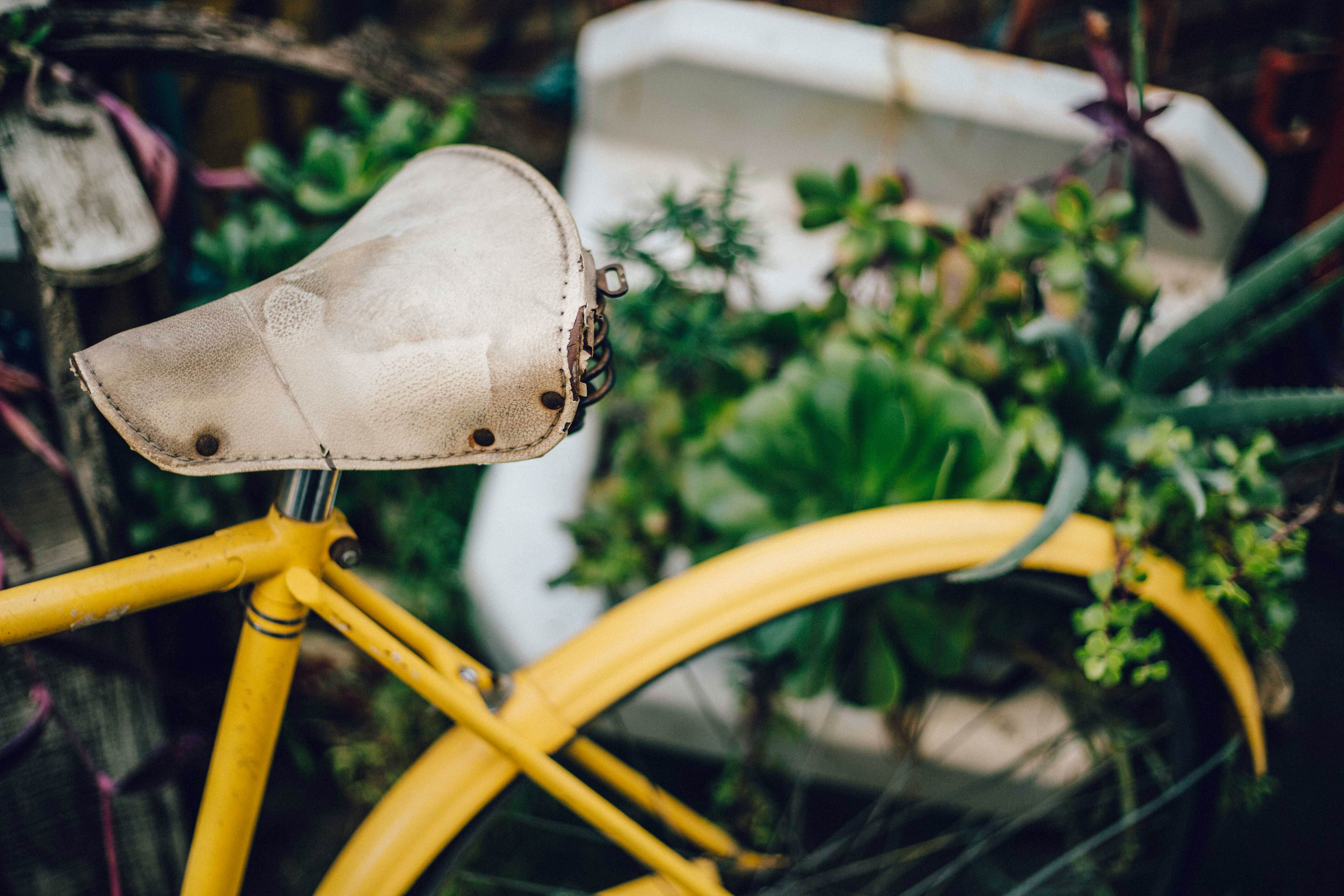 antique bike at the junk hunt