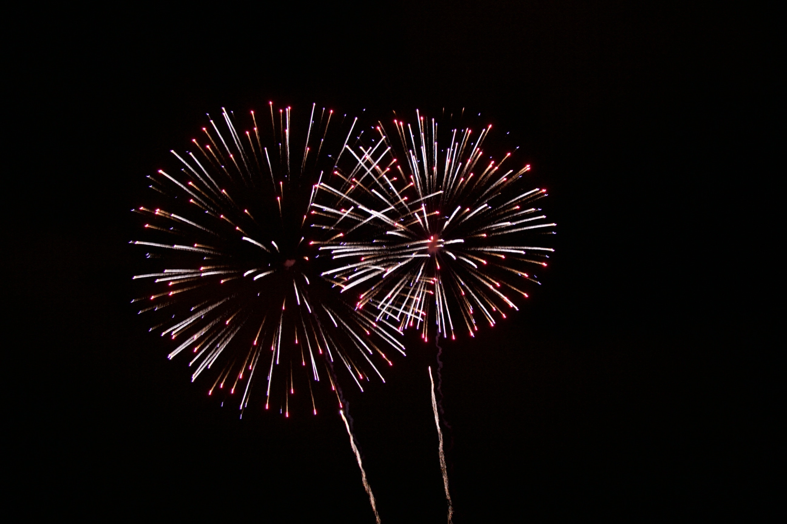 Fireworks in the dark night sky