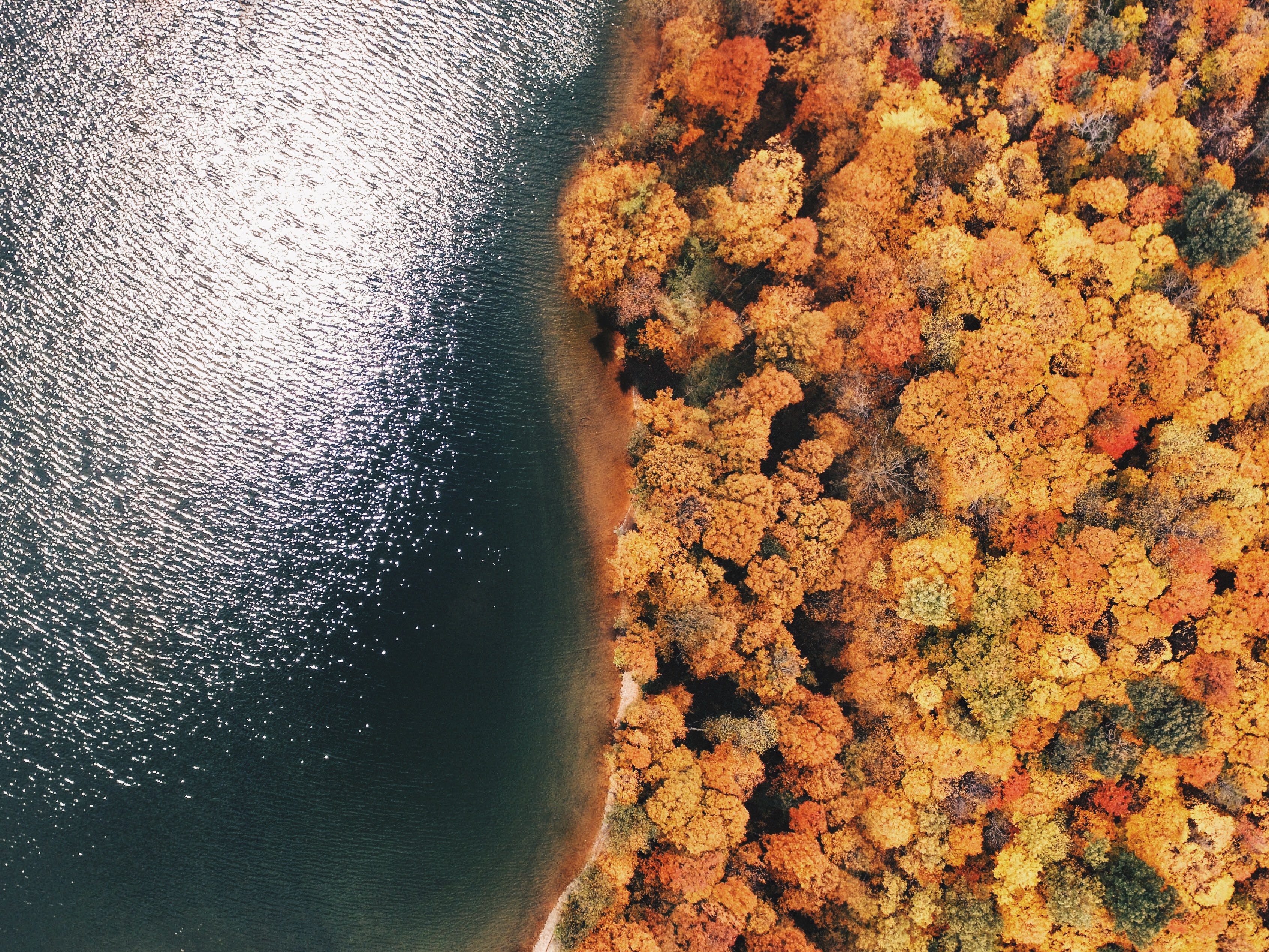 aerial view of lake superior and fall colors