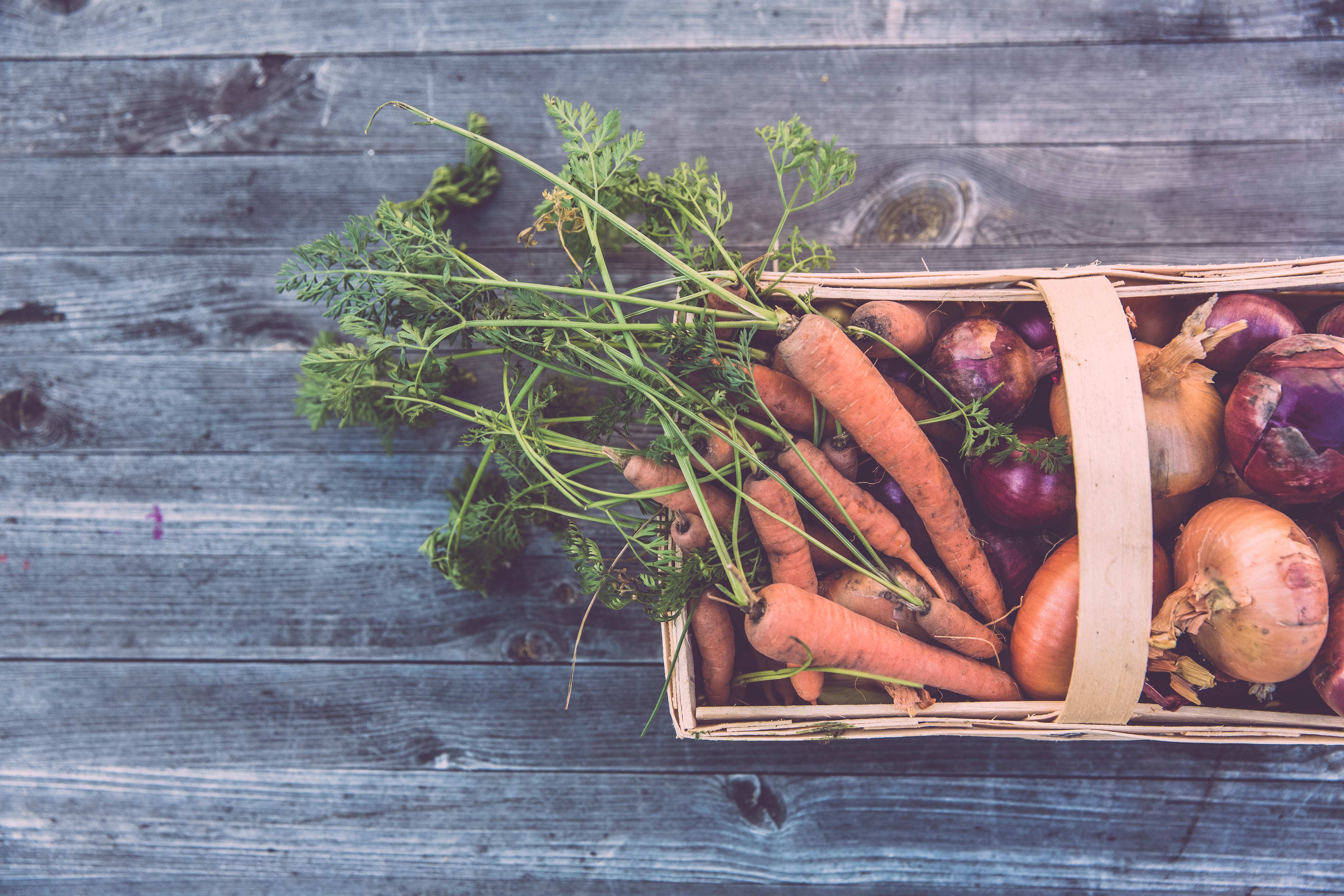 freshly picked vegtables